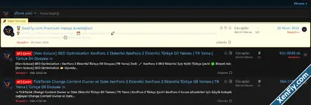 XenForo 2.3 Sabit Konuları Normal Konulardan Ayırma | Görsel Stil Ayırıcı